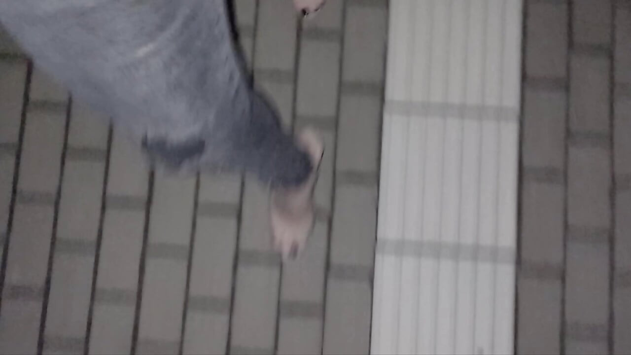 I wear high heels in public