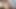 Minyon Asyalı ateşli evli kadın büyük zenci yarağı yabancıyla sikişirken kendini filme alıyor - touchmywife