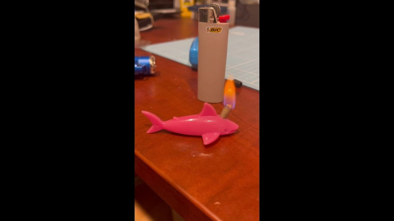 Loves to cop that cock ,