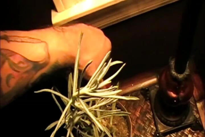 HOME MADE All Girl Grup Seks Partisi