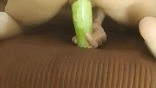 Vagina panas ingin ditembus