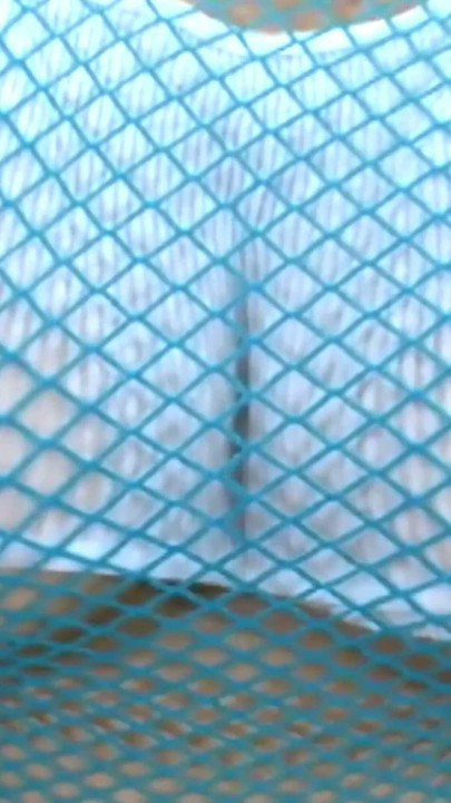 Oil Me up and Slide It in - Tanned Blonde in a Blue Fishnet Top Takes Him on the Red Bed