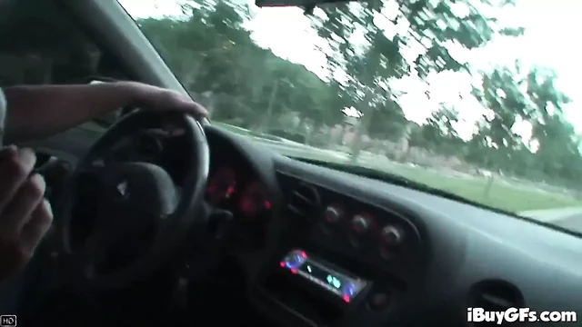 Blonde Babe, Car in Action.