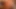 Adding cum to news2's stained babe. chapter  8.
