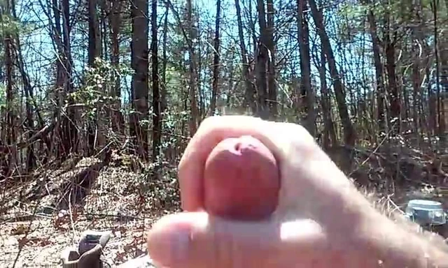 Dupont Forest jack