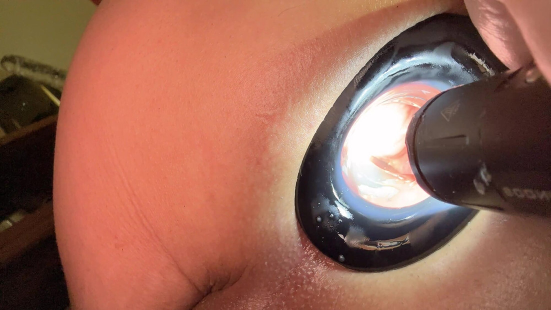 俺の尻の中を見てみて