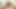 Jeffs Models - BBW Marliese Morgan Cowgirl Compilation 2