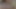 Azgın bebek xxx Cappiati'nin sıkı uzunluğunu azdırıyor