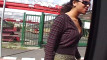 Pregled videozapisa