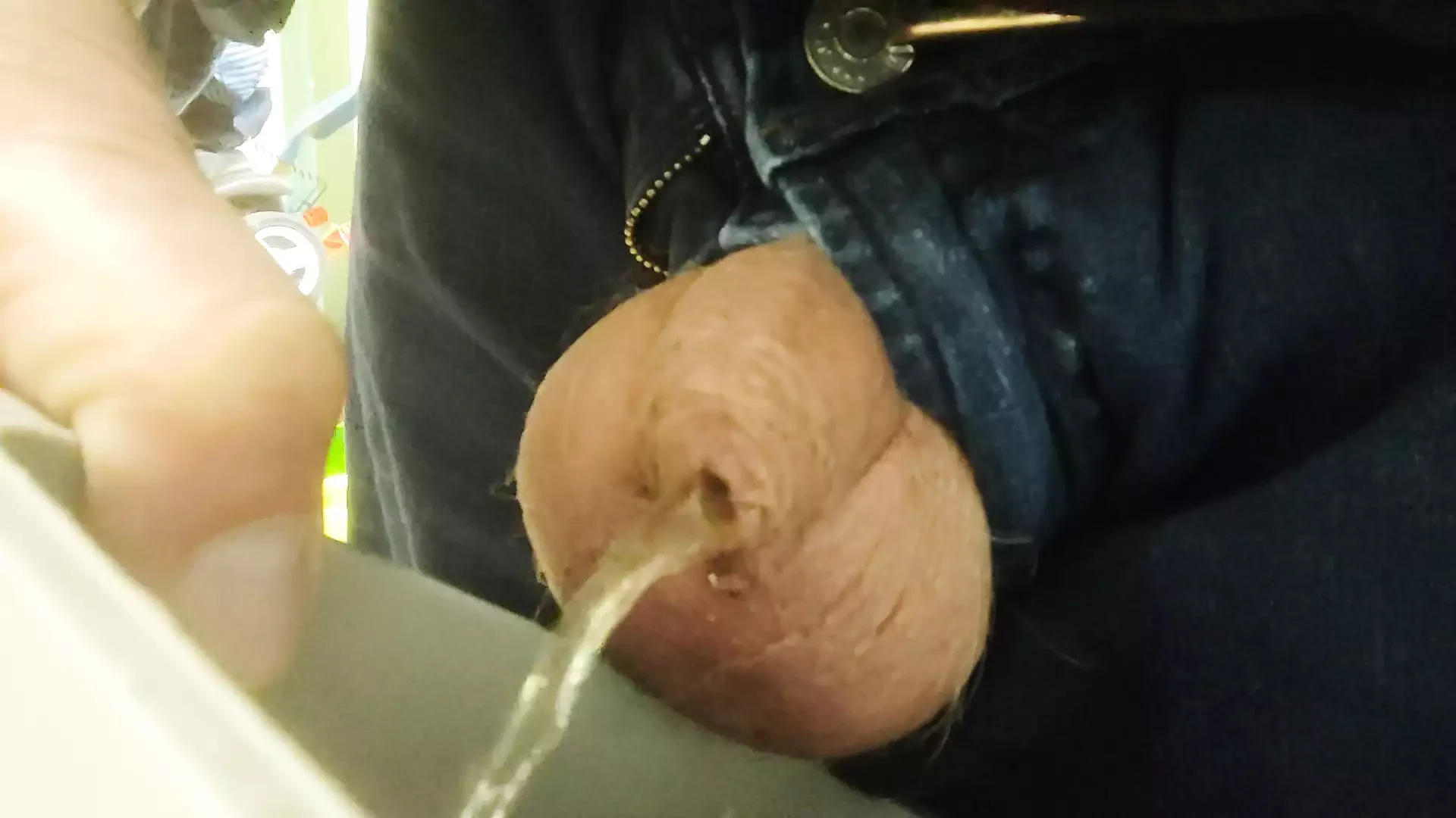Pisi a szemeteskosárban