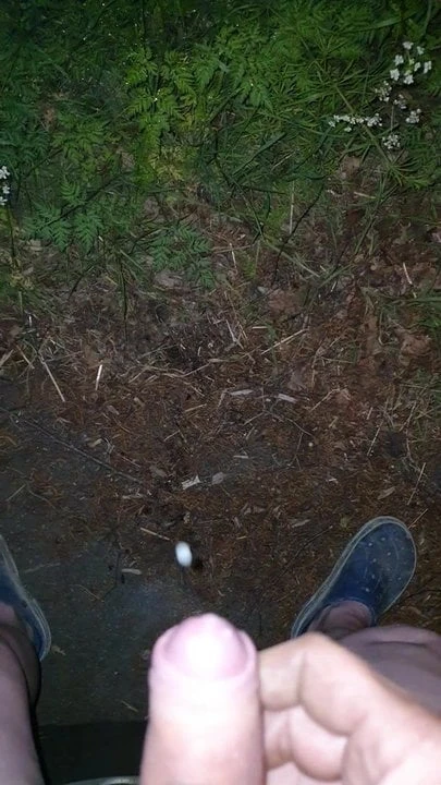 Pisse und Sperma