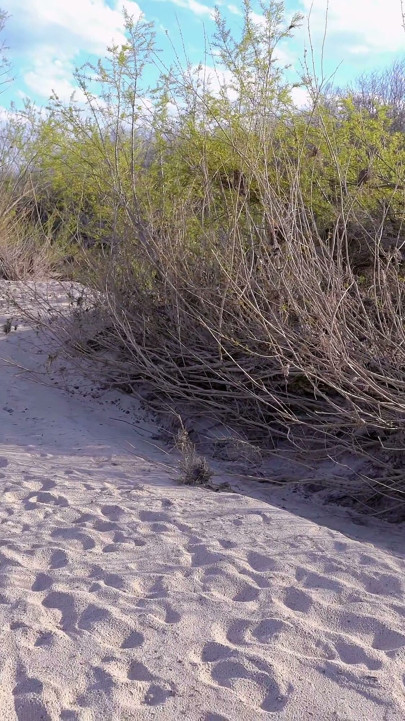 Adventure on a Wild Beach! Sex with a Stranger, Ends in Internal Ejaculation