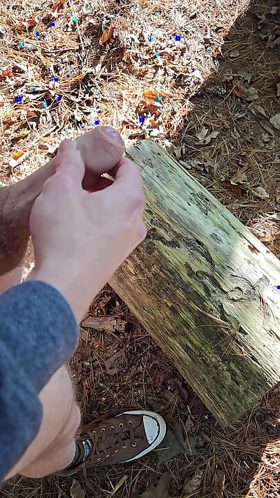 Alaston nopea sperma hirsipenkillä vaeltaessa metsäistä polkua pitkin julkisella paikalla