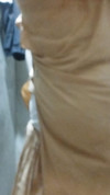 Pregled videozapisa