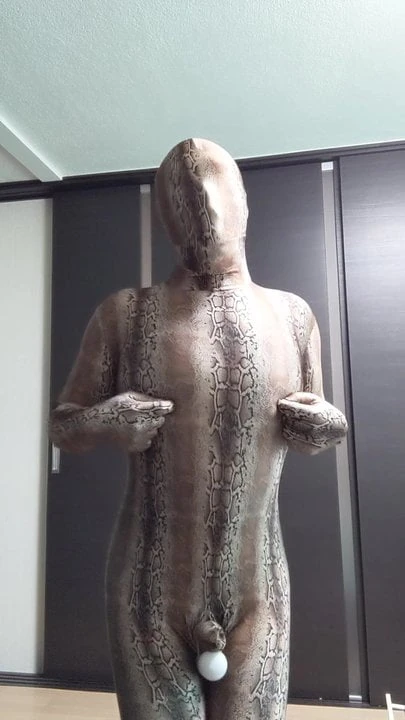 Zentai 13 Takzentai