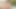 Milftrip dev baştankara milf becky bandini becerdin açık havada