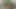 濃厚なインクで書かれたTEEN Self Fucking Big Toy