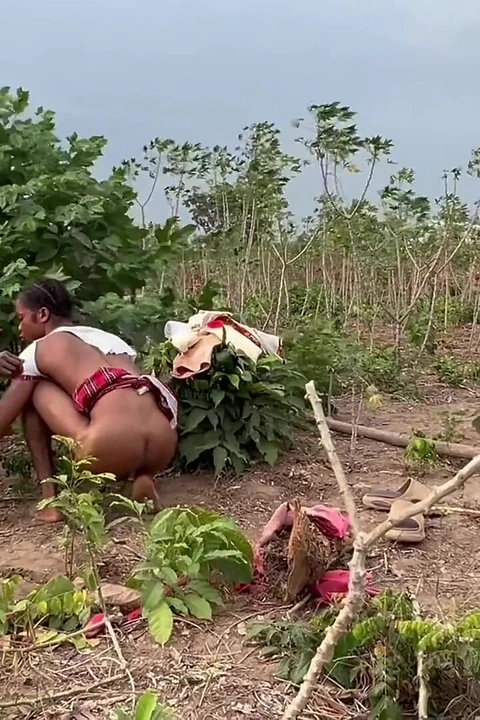 Amazing Outdoor Scene