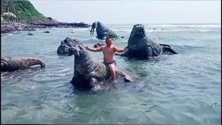 中国胖熊海滩泳裤秀