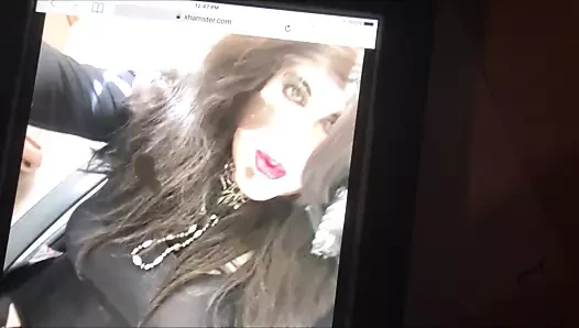 francescacd'a saygı duruşu
