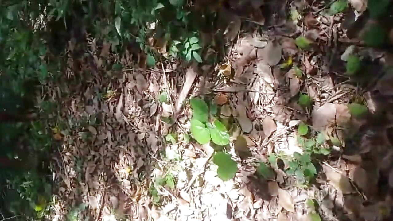 Die ehefrau wurde von jemandm gefickt, der kam, um den Garten zu putzen, während ehemann bei der arbeit war