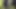 Closet Chubb daddy fucked bb in the woods