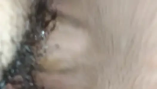 the bull fucking my wife's pussy.