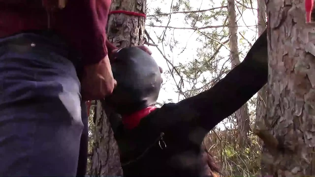 Tied to a tree, masked and outdoor bound deepthroat