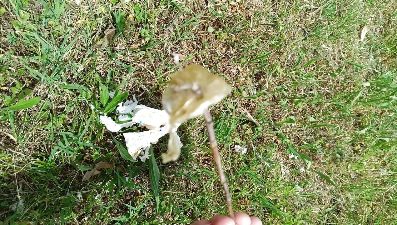 Used Condom #1