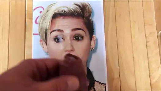 haraç miley