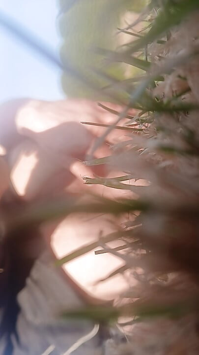 汚れたカメラが自分で撮られた ぼやけてる