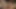 dickes asiatisches schätzchen masturbiert auf der küchentheke