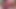 Cumshot Compilation (Primo Cums 5 of 6)