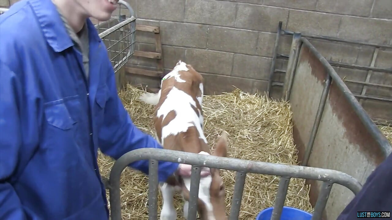 Horny Twink Fun on the Farm!
