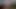 Aşk beyaz civcivler 3