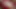 HARMONY VISION Anal Creampie for Madison