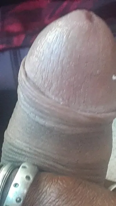 A close-up of my foreskin slowly going back into place