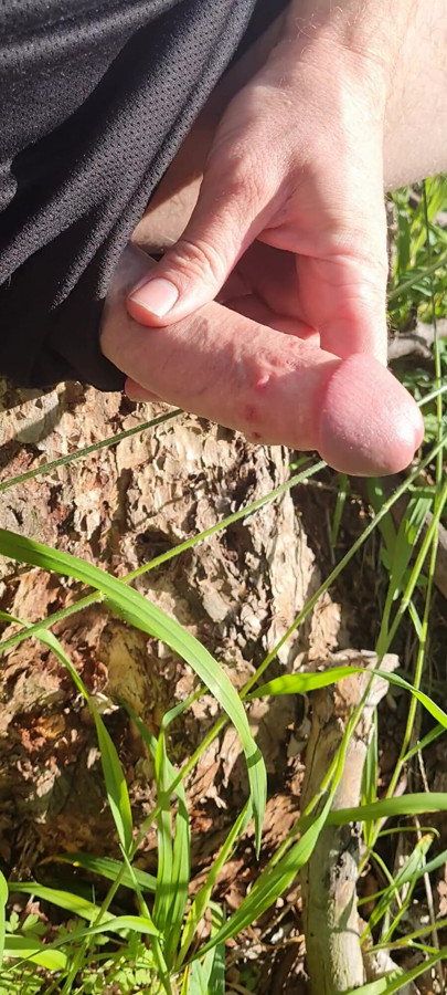 Jerking off in the forest