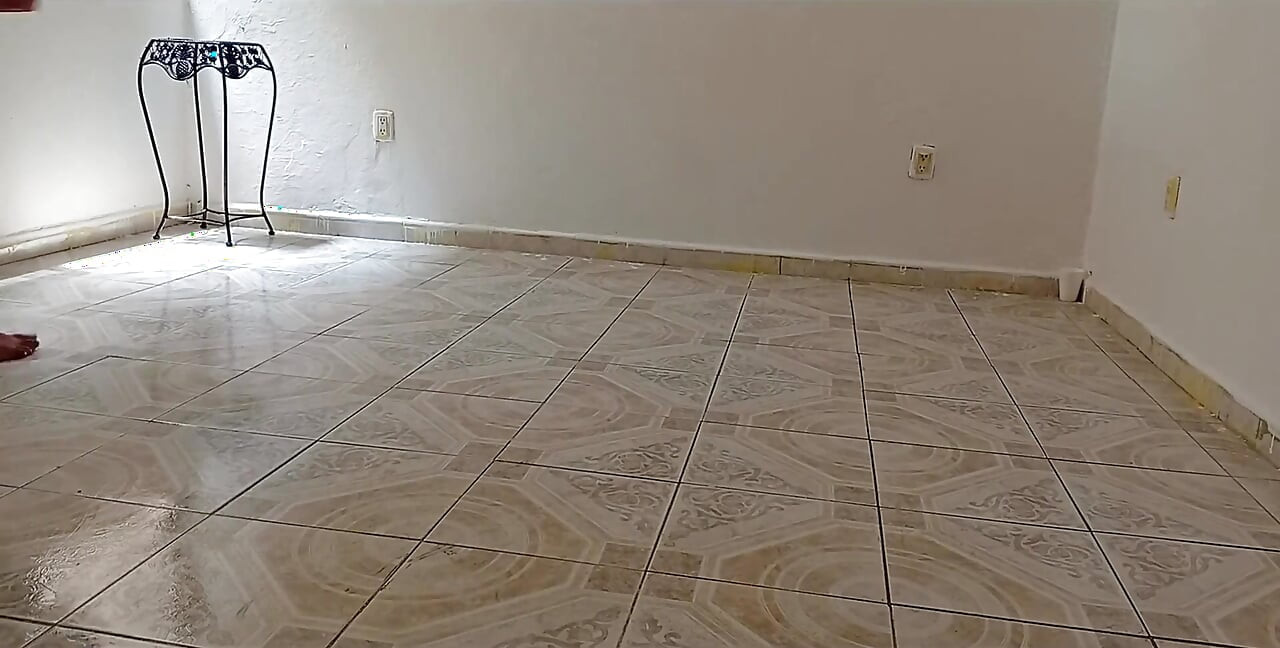 ghar ki saphaee karne vaali mahila