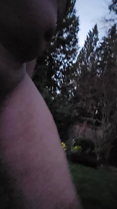 Twilight Outdoors