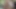 Seksi Vee hustler pornosundan tam doz büyük siyah yarağı alıyor
