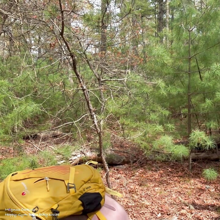 Who wants to go naked hiking with me?
