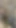 Herkesin içinde şeffaf lateks yağmurluk giyiyor