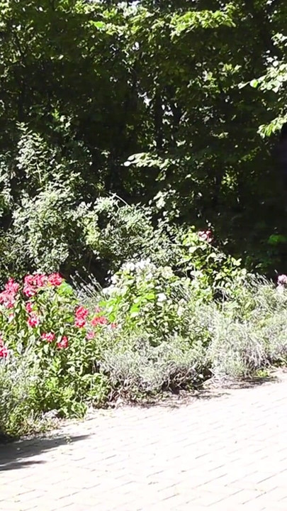Jaw-dropping moment from "CD Lady in a shiny pleated satin gown"