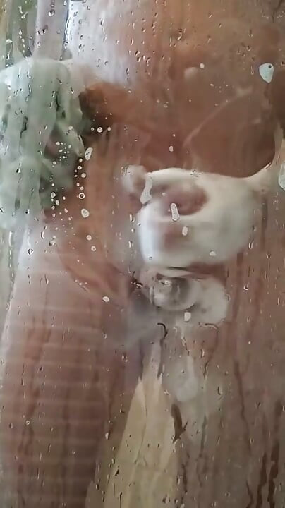 In the shower a lathered and cumshot