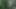 Almost caught wanking in the woods