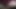 Prolaps, pisse, precum und sperma