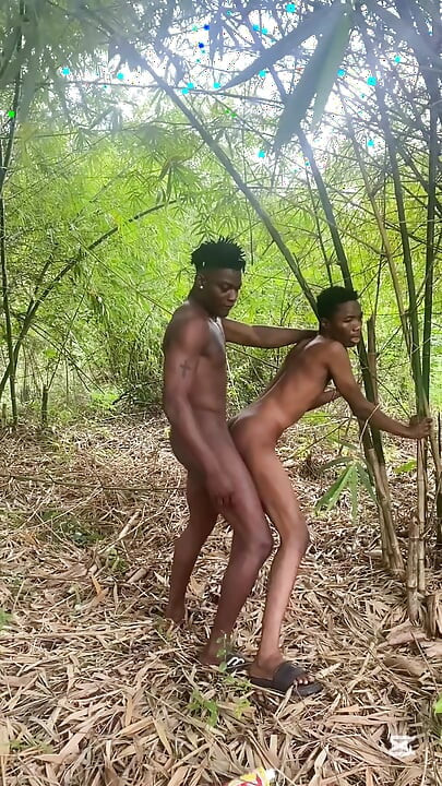 Приключения, секс, полный вид на все