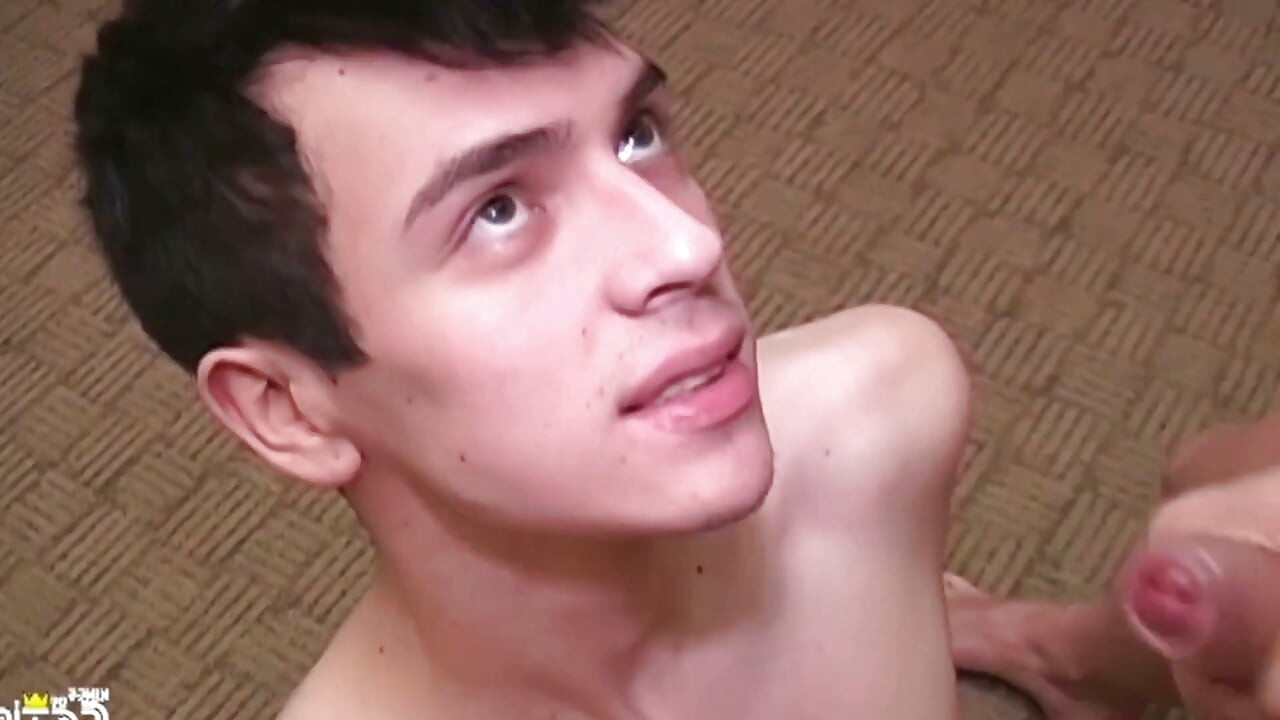 Tattooed Twinks and Mature Men Get Asses Screwed and Creampied in Bareback Style