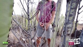El chico se mea en un cactus